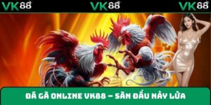 Sàn đấu nảy lửa hấp dẫn người xem