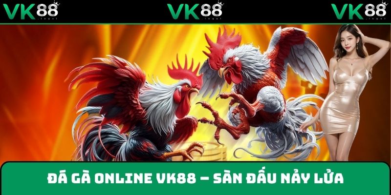 Sàn đấu nảy lửa hấp dẫn người xem