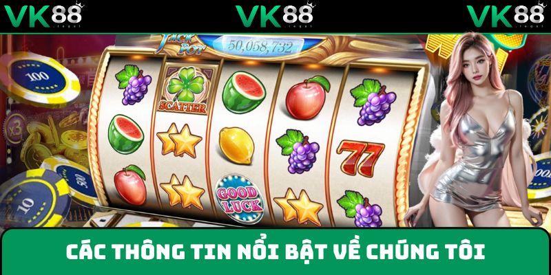 Một số thông tin và thống kê nổi bật về chúng tôi